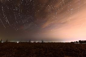 Pear Flowers Under Starry Sky