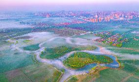 Environmental Improvement in China