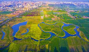 Environmental Improvement in China