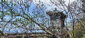 China Hubei Mount Wudang