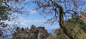 China Hubei Mount Wudang