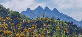 China Hubei Mount Wudang