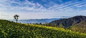 China Hubei Mount Wudang