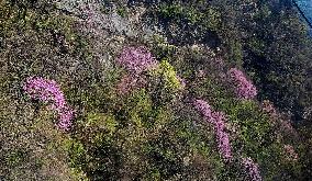 China Hubei Mount Wudang