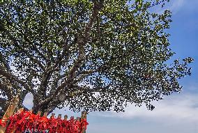 China Hubei Mount Wudang