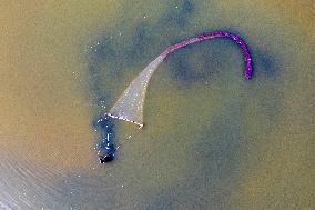 Fishing For Saltwater Worms