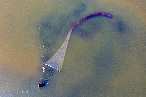 Fishing For Saltwater Worms