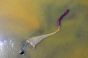 Fishing For Saltwater Worms