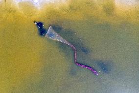 Fishing For Saltwater Worms