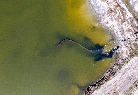 Fishing For Saltwater Worms