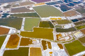 Colorful Salt Lake in Yuncheng