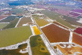 Colorful Salt Lake in Yuncheng