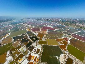 Colorful Salt Lake in Yuncheng