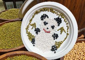 Grains Make Patterns In A Supermarket