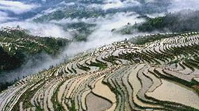 China Guizhou Jiabang Terraces