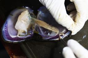 Characteristic Farming in Rural China