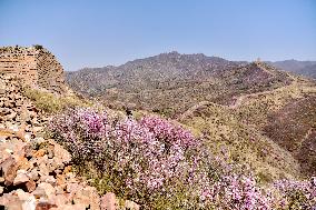 Qingbiankou Great Wall