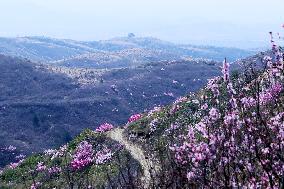 Qingbiankou Great Wall