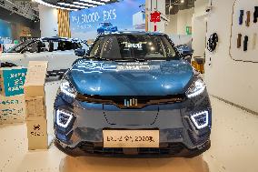China Electric Vehicles Development
