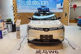 China Electric Vehicles Development