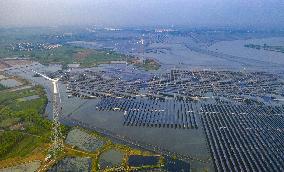 China Jiangsu Photovoltaic Application Leading Base