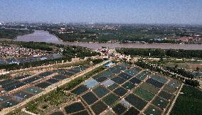 China Shandong Shrimp Ponds