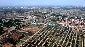 China Shandong Shrimp Ponds