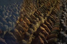 China Shaanxi Terracotta Army