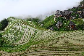 China Guangxi Longji Rice Terraces