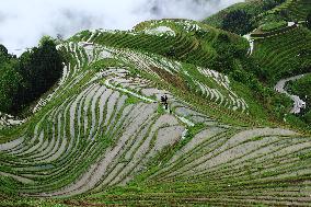 China Guangxi Longji Rice Terraces