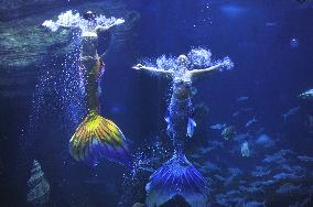Mermaids