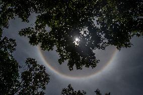 Solar Halo
