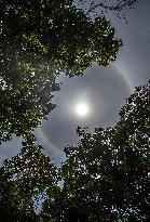 Solar Halo