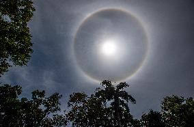 Solar Halo