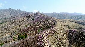 Qingbiankou Great Wall