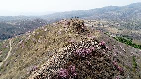 Qingbiankou Great Wall