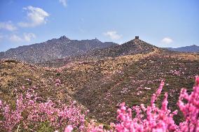 Qingbiankou Great Wall