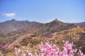 Qingbiankou Great Wall