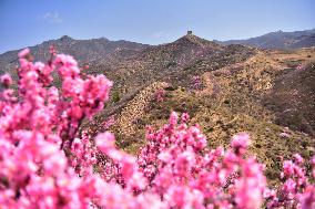 Qingbiankou Great Wall