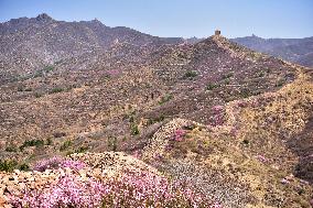 Qingbiankou Great Wall