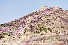 Qingbiankou Great Wall