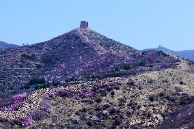 Qingbiankou Great Wall