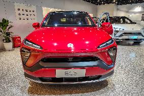 China Electric Vehicles Development