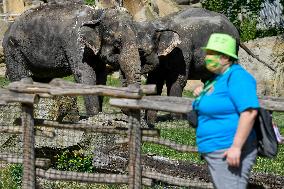 The Prague Zoo reopened to visitors