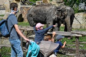 The Prague Zoo reopened to visitors, child, elephant