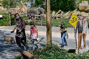 The Prague Zoo reopened to visitors