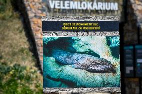 The Prague Zoo reopened to visitors