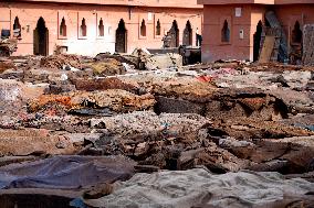 tannery, leather production