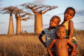 aborigine in the most famous baobab alley in Madagascar
