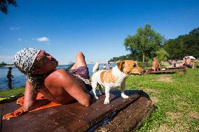 People, summer, hot weather, Water dam Plumlov, man, dog